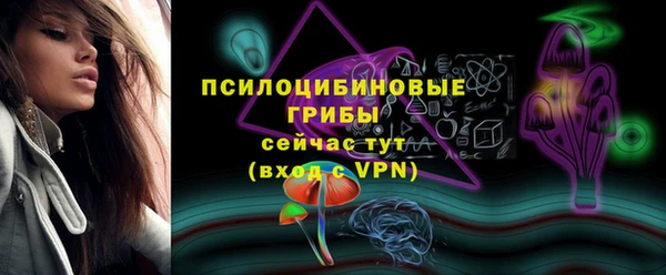 гашик Баксан