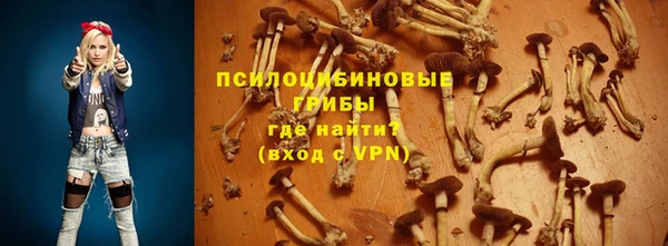 гашик Баксан
