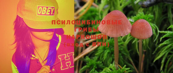 гашик Баксан